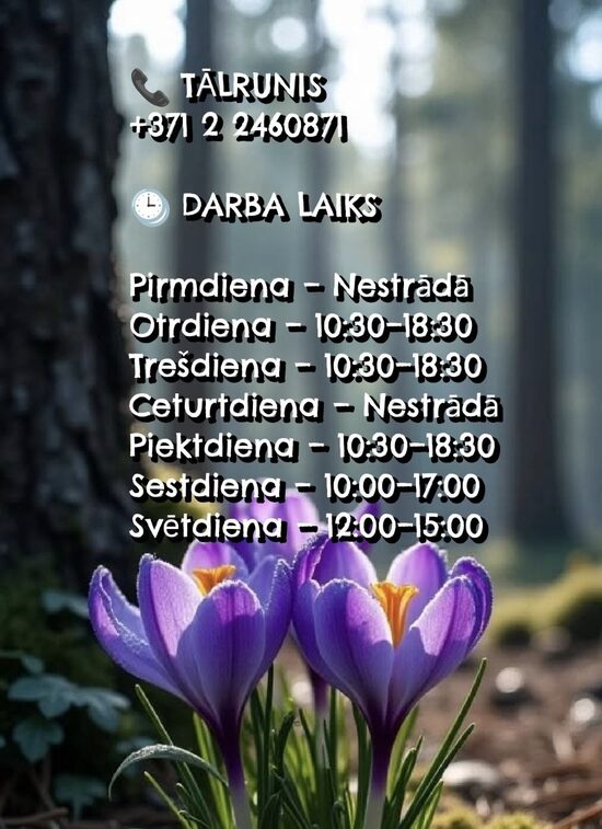 Darba Laiks
