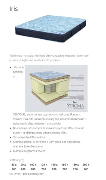 Iris matracis 22cm H